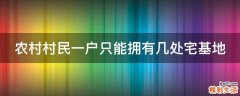 农村村民一户只能拥有几处宅基地
