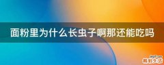 面粉里为什么长虫子啊那还能吃吗