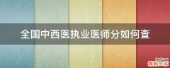 全国中西医执业医师分如何查
