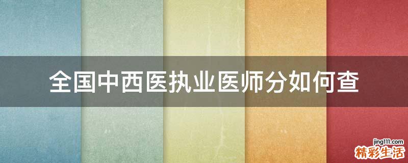 全国中西医执业医师分如何查
