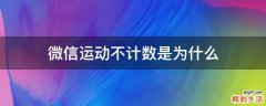 微信运动不计数是为什么
