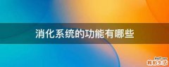 消化系统的功能有哪些