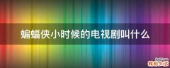蝙蝠侠小时候的电视剧叫什么