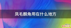 凤毛麟角用在什么地方