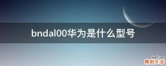 bndal00华为是什么型号