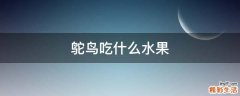 鸵鸟吃什么水果