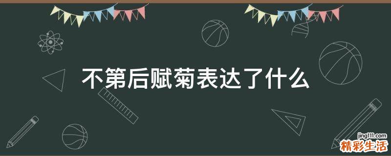不第后赋菊表达了什么