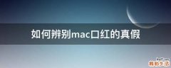 如何辨别mac口红的真假