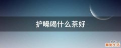护嗓喝什么茶好