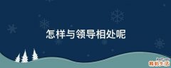 怎样与领导相处呢