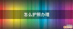 怎么护照办理