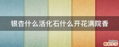 银杏什么活化石什么开花满院香