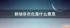 耕地非农化是什么意思