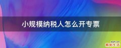 小规模纳税人怎么开专票