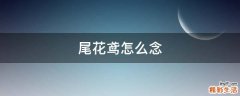 尾花鸢怎么念