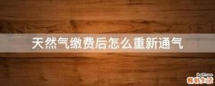 天然气缴费后怎么重新通气