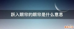 跃入眼帘的眼帘是什么意思