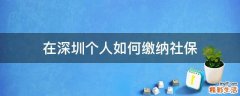 在深圳个人如何缴纳社保