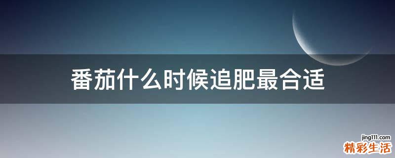番茄什么时候追肥最合适