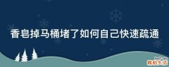 香皂掉马桶堵了如何自己快速疏通