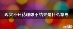 现实不开花理想不结果是什么意思