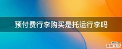 预付费行李购买是托运行李吗