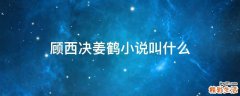 顾西决姜鹤小说叫什么