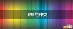 飞蚁的种类