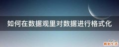 如何在数据观里对数据进行格式化