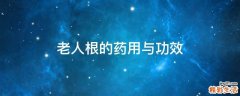 老人根的药用与功效