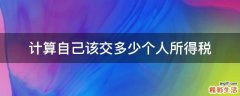 计算自己该交多少个人所得税
