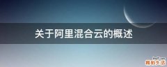 关于阿里混合云的概述