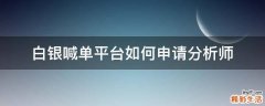 白银喊单平台如何申请分析师