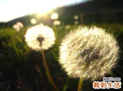 皮肤红该怎样治疗