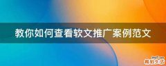 教你如何查看软文推广案例范文