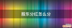 股东分红怎么分