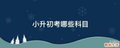 小升初考哪些科目
