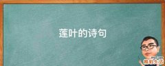 莲叶的诗句