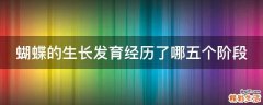 蝴蝶的生长发育经历了哪五个阶段