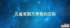 孔雀草跟万寿菊的区别