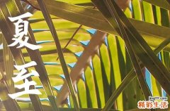 2023夏至节气怎么计算 夏至每年都是同一天吗