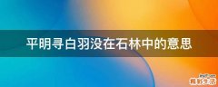 平明寻白羽没在石林中的意思