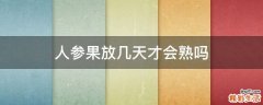 人参果放几天才会熟吗