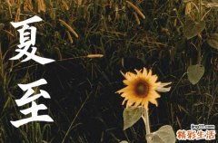 2023年夏至时间几点几分几秒 2023夏至是哪一天的什么时候