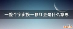 一整个宇宙换一颗红豆是什么意思