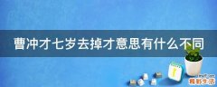 曹冲才七岁去掉才意思有什么不同