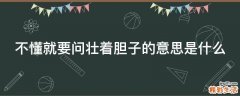不懂就要问壮着胆子的意思是什么