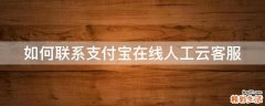 如何联系支付宝在线人工云客服
