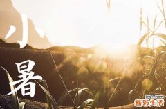2023入伏是什么节气 2023什么节气进入伏天