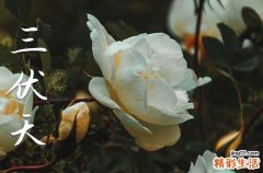 三伏天2023时间表多少天 2023年何时入伏共有多少天